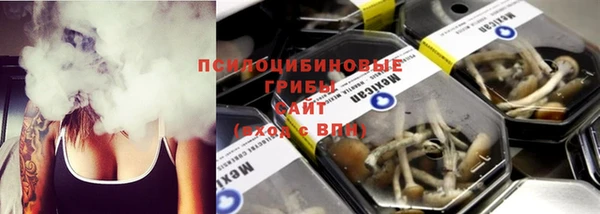 твердый Алзамай