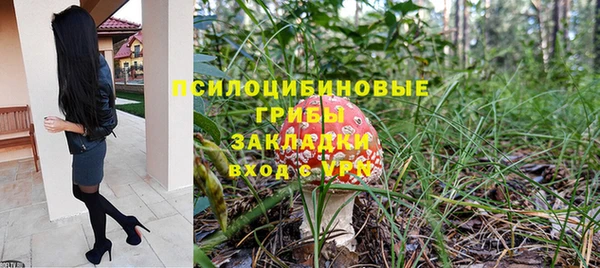 не бодяженный Алексин
