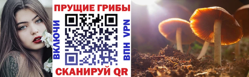 Галлюциногенные грибы ЛСД  даркнет сайт  Тольятти 