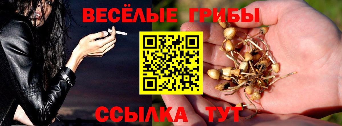 Тольятти  Галлюциногенные грибы GOLDEN TEACHER  Вход с VPN  Псилоцибиновые грибы Cubensis 