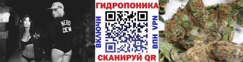 Бошки Шишки марихуана Тольятти